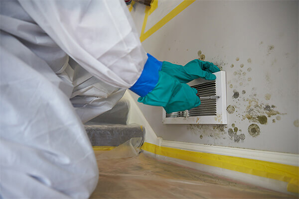 Mold Mitigation in Mineral, VA