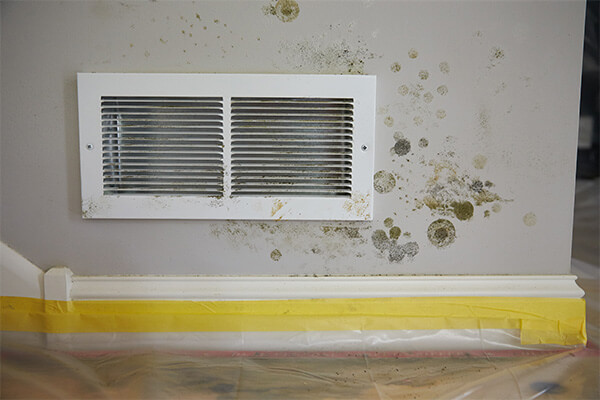 Mold Mitigation in Fork Union, VA