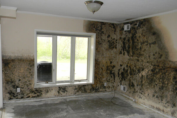 Mold Damage Restoration in Palmyra, VA