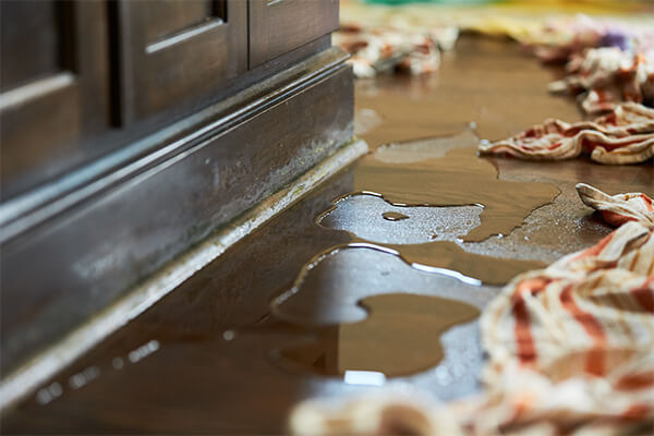 Water Damage Remediation in Mineral, VA