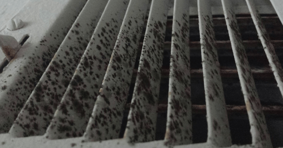 Mold in Your Air Ducts