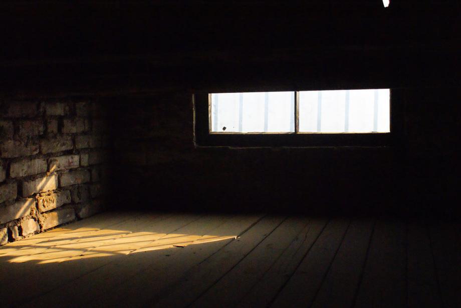 The Challenges of Attic and Basement Mold