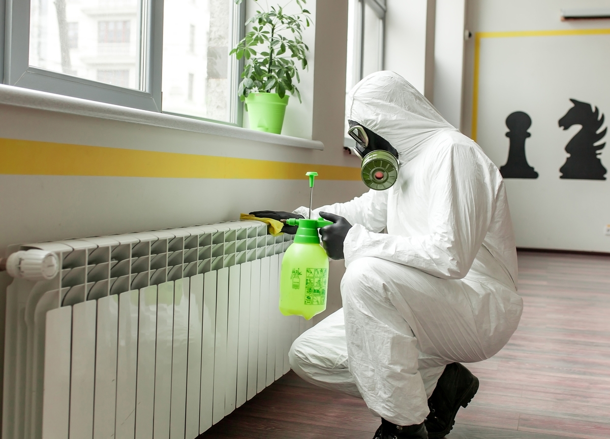 The Role of Moisture Control in Preventing Mold Growth: Expert Strategies and Tips