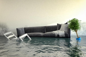 The Future of Water, Fire, and Mold Restoration: Adapting to Changing Climate Patterns