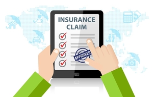 Navigating the Complexities of Insurance Claims in Fire and Mold Remediation
