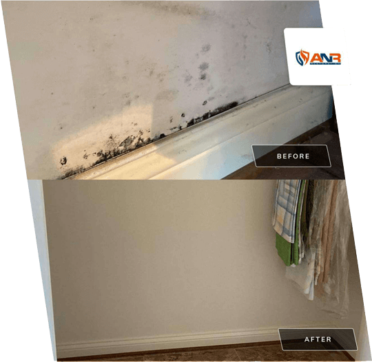 Before/After Mold Remediation Services by ANR Restoration