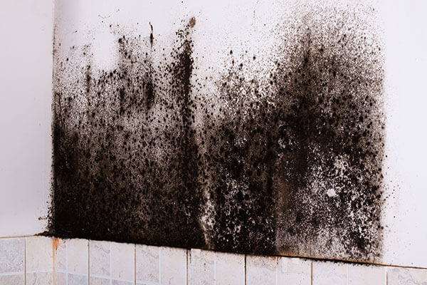 Scottsburg, IN Fire and Water Damage Restoration
