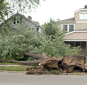 Storm Damage Restoration