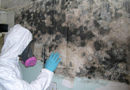 Sellersburg, IN Mold Remediation