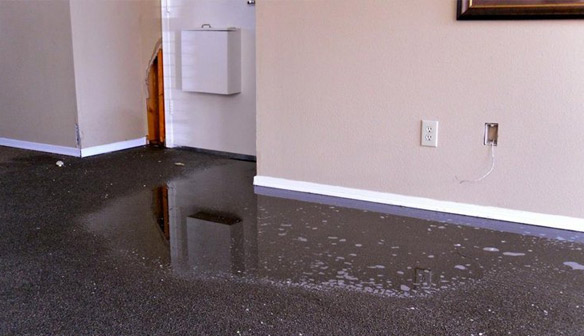 Water Damage Restoration in Louisville