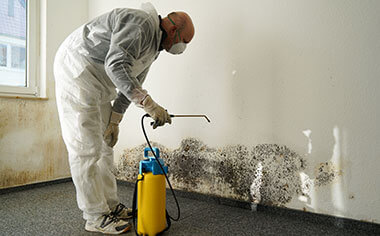 mold removal in Carlsbad, CA