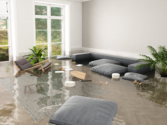 water damage restoration in San Diego, Carlsbad, and Los Alamitos