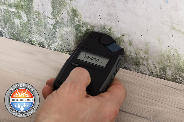 Mold Removal in Carlsbad, CA