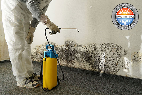 Mold Removal in Poway, CA