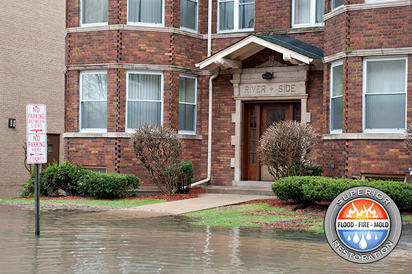 Water Damage Remediation in Del Dios, CA