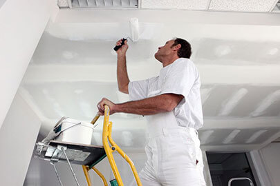 mold removal in Sarasota, FL