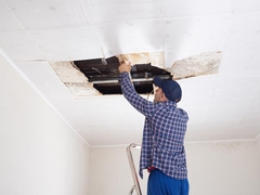 Ceiling Water Damage Repair in Sarasota, FL: What to Expect