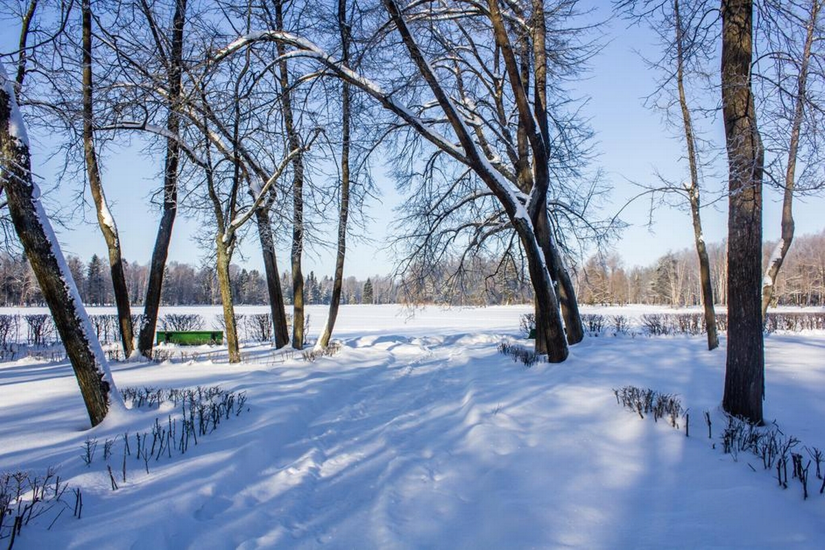Average Snowfall in Sarasota, FL and What to Expect Each Winter