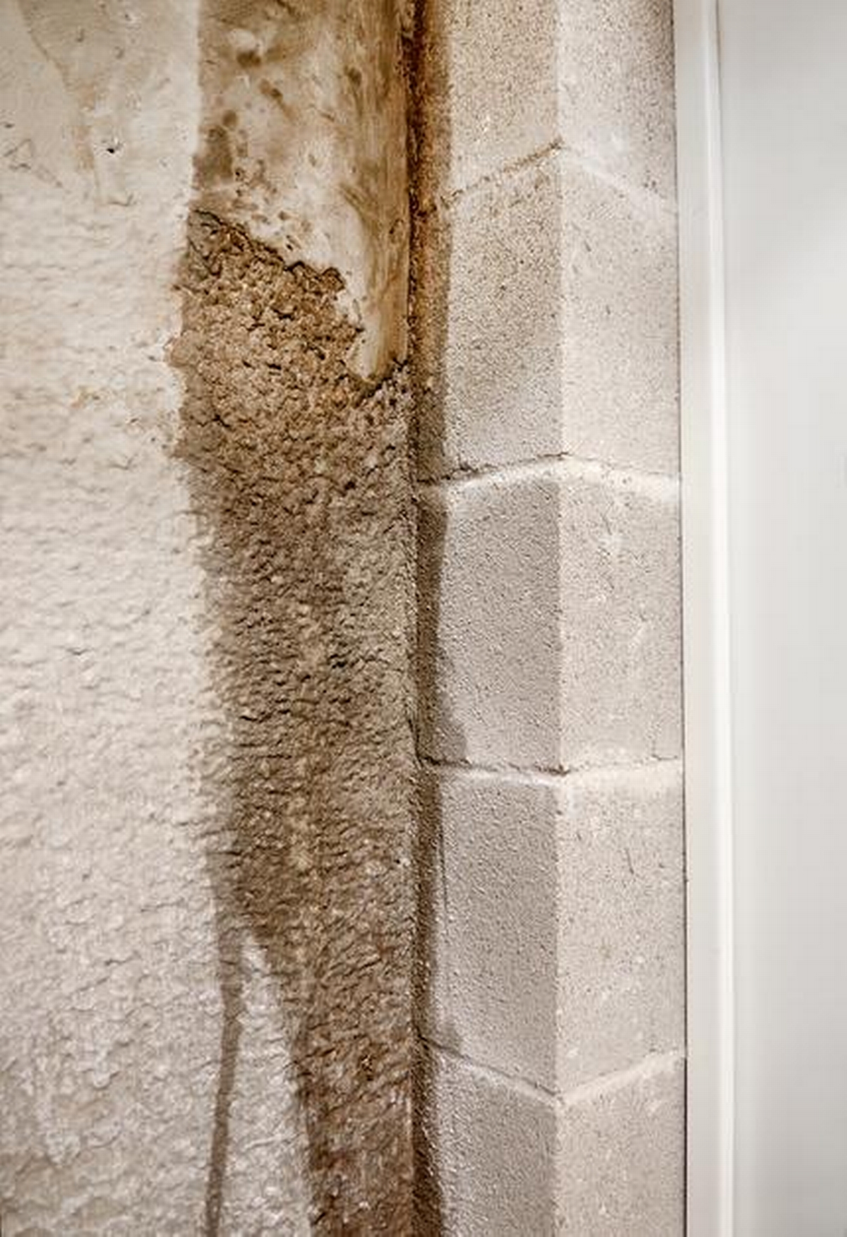 Water Damage on Wall: Causes and Repair Options
