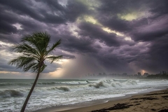 Storms in Sarasota - What to Expect and the Damage They Can Cause