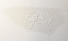 What Causes Moisture in a House and Why It Matters