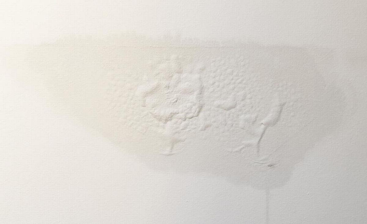 What Causes Moisture in a House and Why It Matters