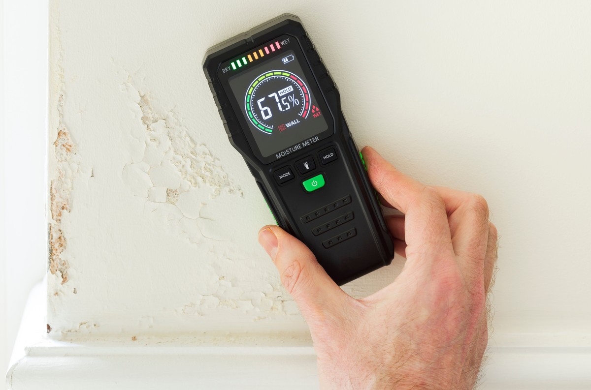 Before Moisture Spreads, How to Prevent Mold After Water Damage
