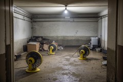 How to Prevent Mold After Water Damage