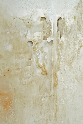 Accutech Water Damage Drywall Repair