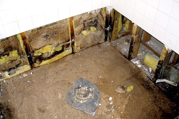 Mold Abatement in South Venice, FL