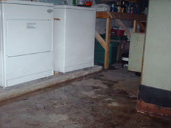 washer leak repair and cleanup in 