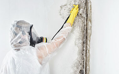 mold removal in San Rafael, CA