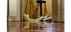  Water Damage Prevention and Tips