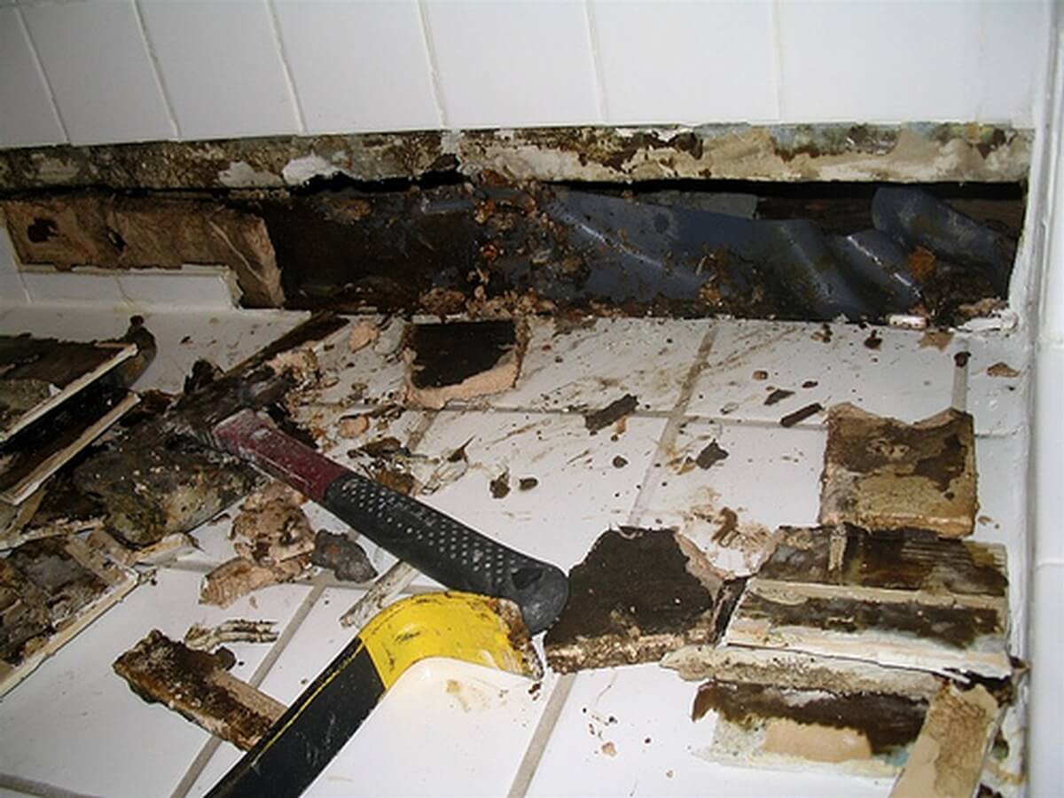 How to Cut Down on Mold Risk in Your Business
