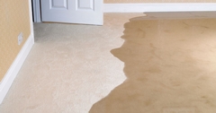 Restoring Carpets After Water Damage: Essential Cleaning, Drying, and Sanitizing Techniques