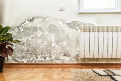 The Top 5 Innovations in Water Damage Restoration Techniques You Need to Know About