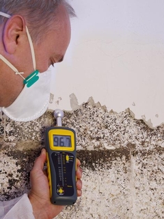 What Does a Mold Specialist Do? 6 Main Services Explained