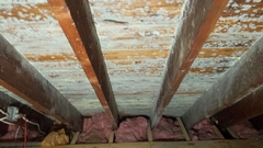 Attic Mold Infestation: Signs and Solutions