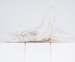 Hidden Home Humidity: What Causes Moisture in a House?