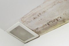 Ceiling Mold After Water Damage: Warning Signs to Watch