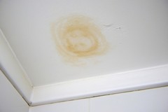 Water Damage Above Shower and How to Address It