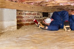 Types of Mold in Crawl Space and Why They Matter