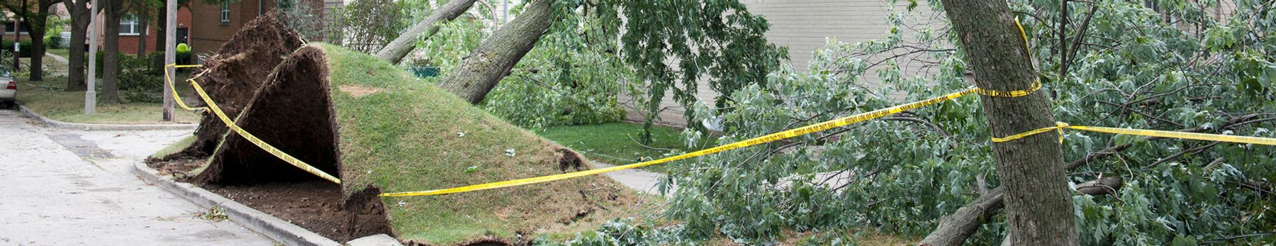 Wind Damage Restoration in East Lansing, MI