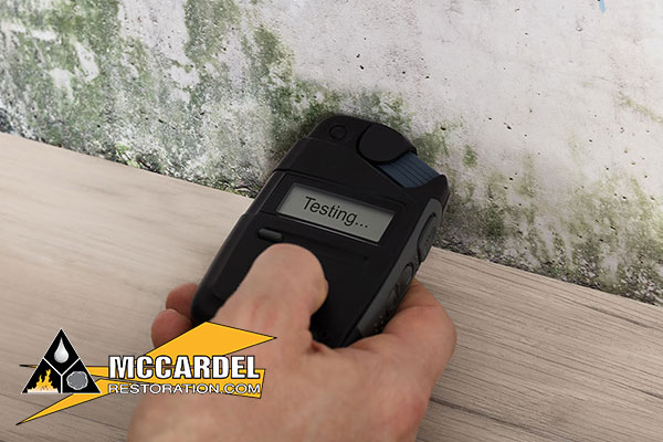 Mold Abatement in Okemos, MI