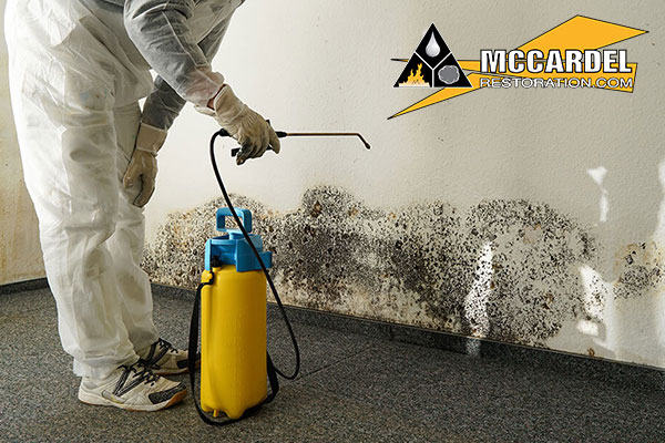 Mold Remediation Technicians Removing Mold