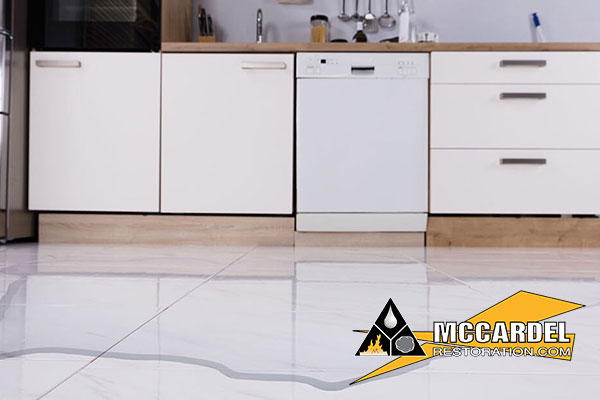 Water Damage Restoration in Waverly, MI