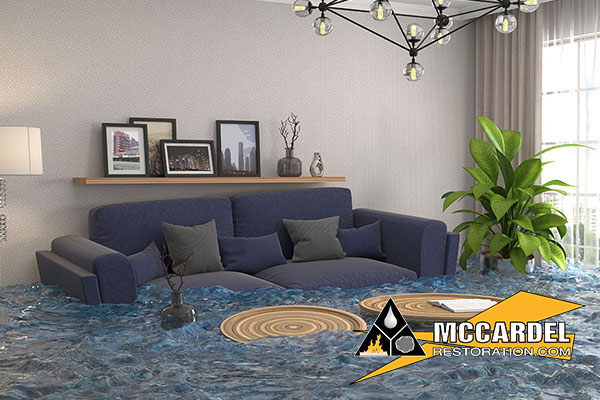 Water Mitigation in Waverly, MI