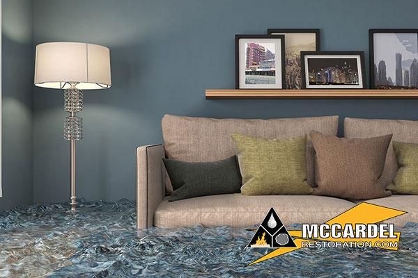 Water Damage Repair in Haslett, MI