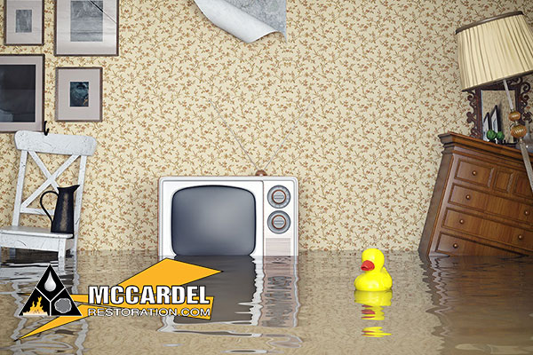 Water Damage Repair in Grand Ledge, MI