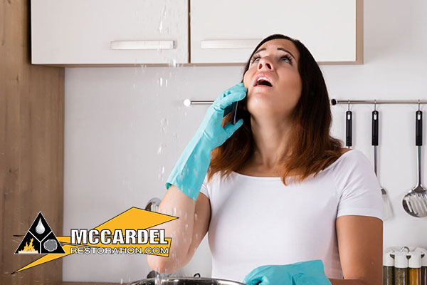 Water Damage Cleanup in Waverly, MI